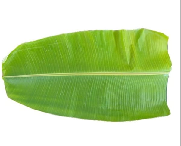 Banana leaf_0
