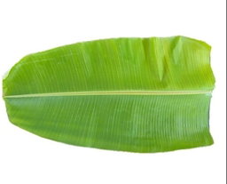 Banana leaf