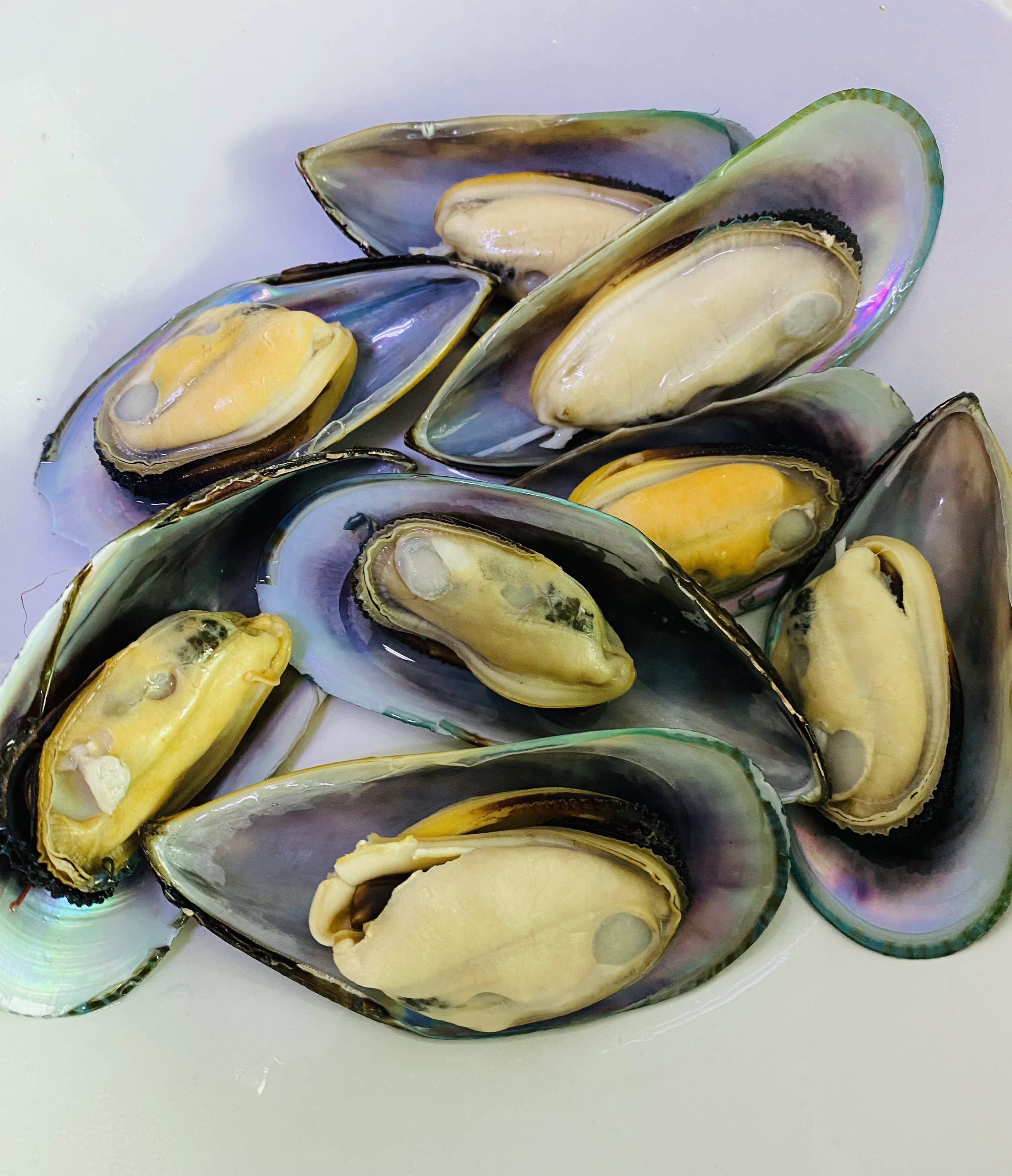 Mussels