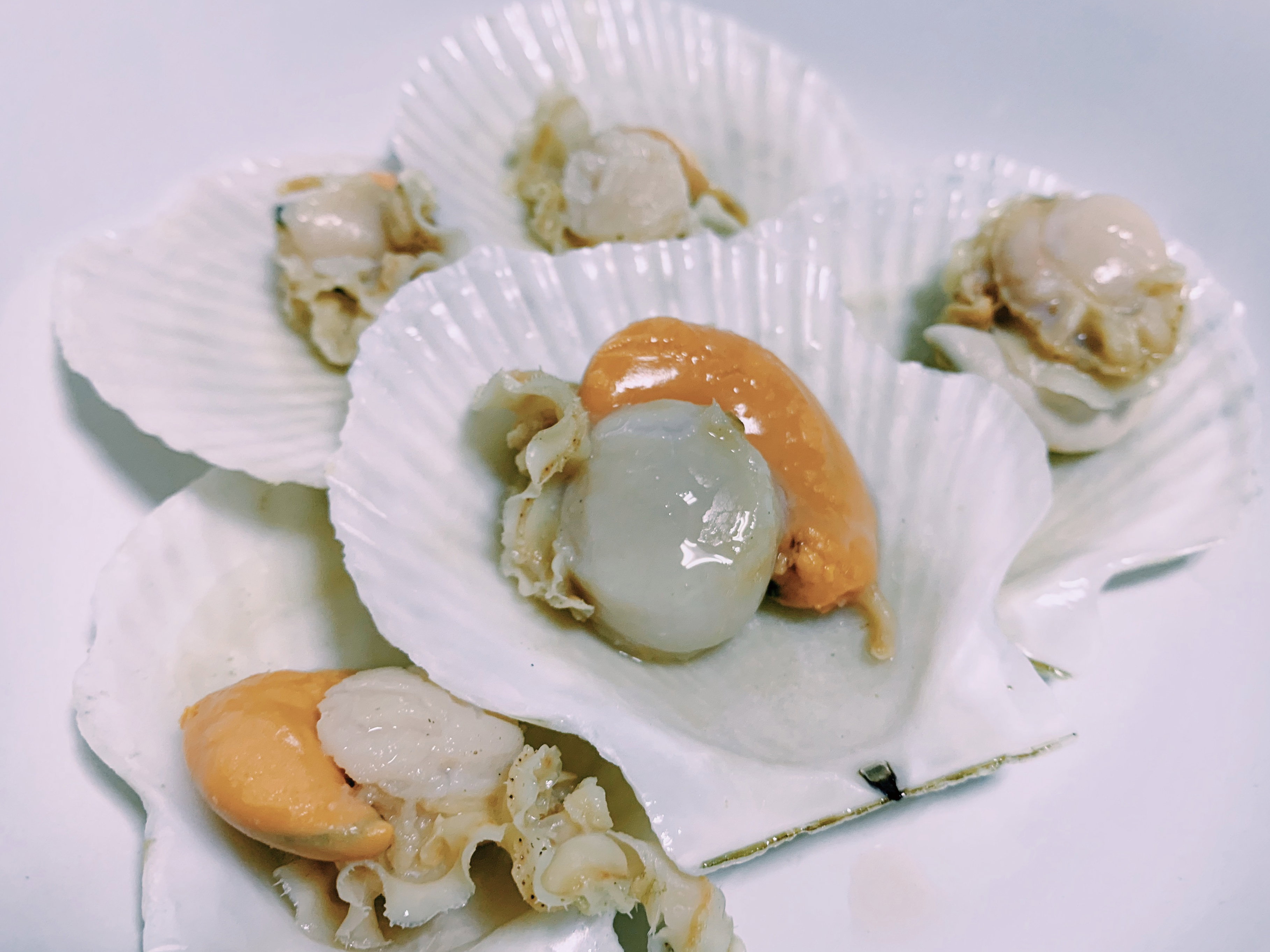 Scallops