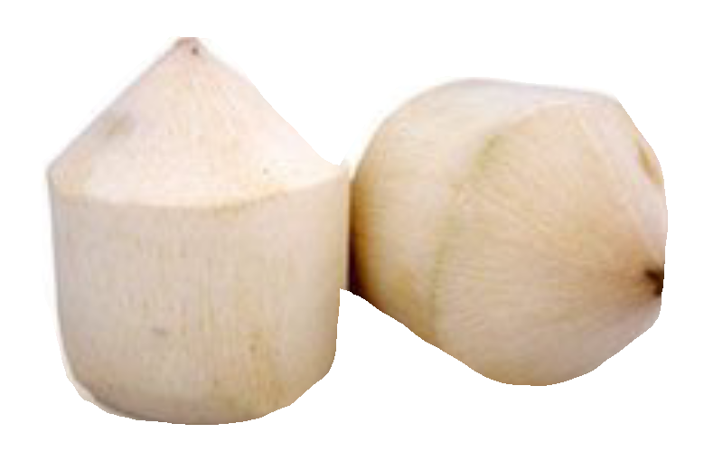 T1-Trimmed young coconut
