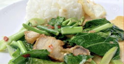 Stir fry kailan with crispy pork rice with egg 