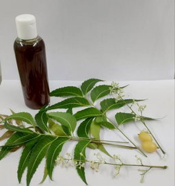 neem oil 100ml