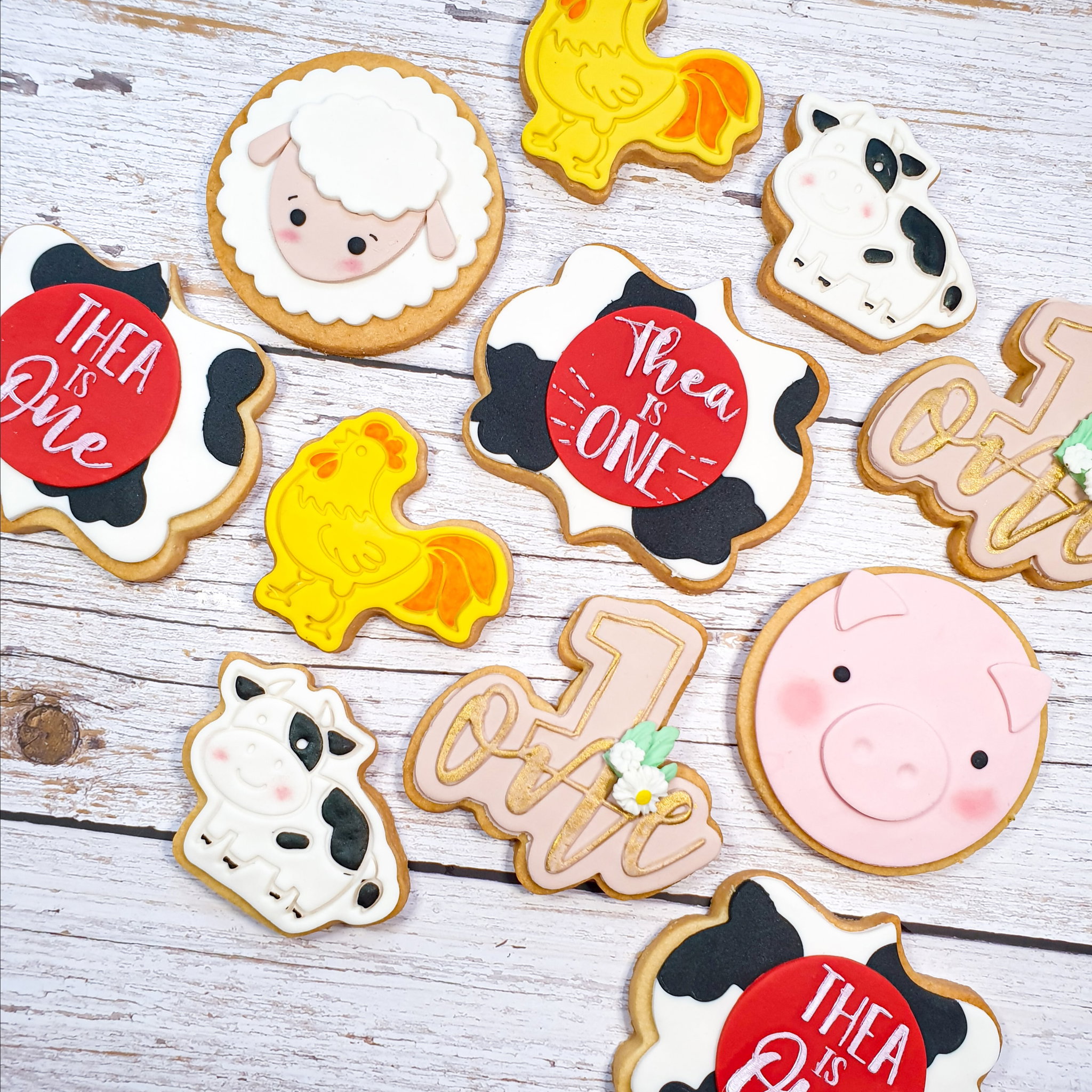 Fondant Cookies_2