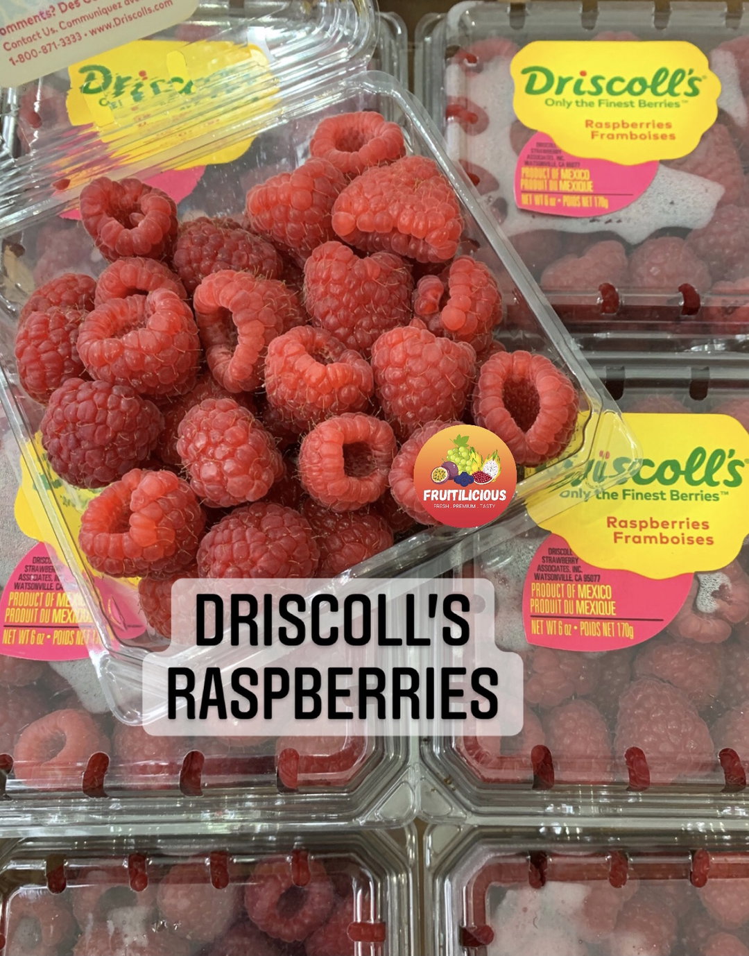 DRISCOLL'S RASPBERRIES