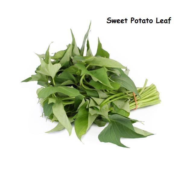 Sweet Potato Leaf 番薯叶