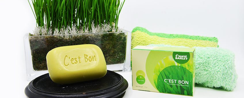Cestbon Soap Sante Barley _0