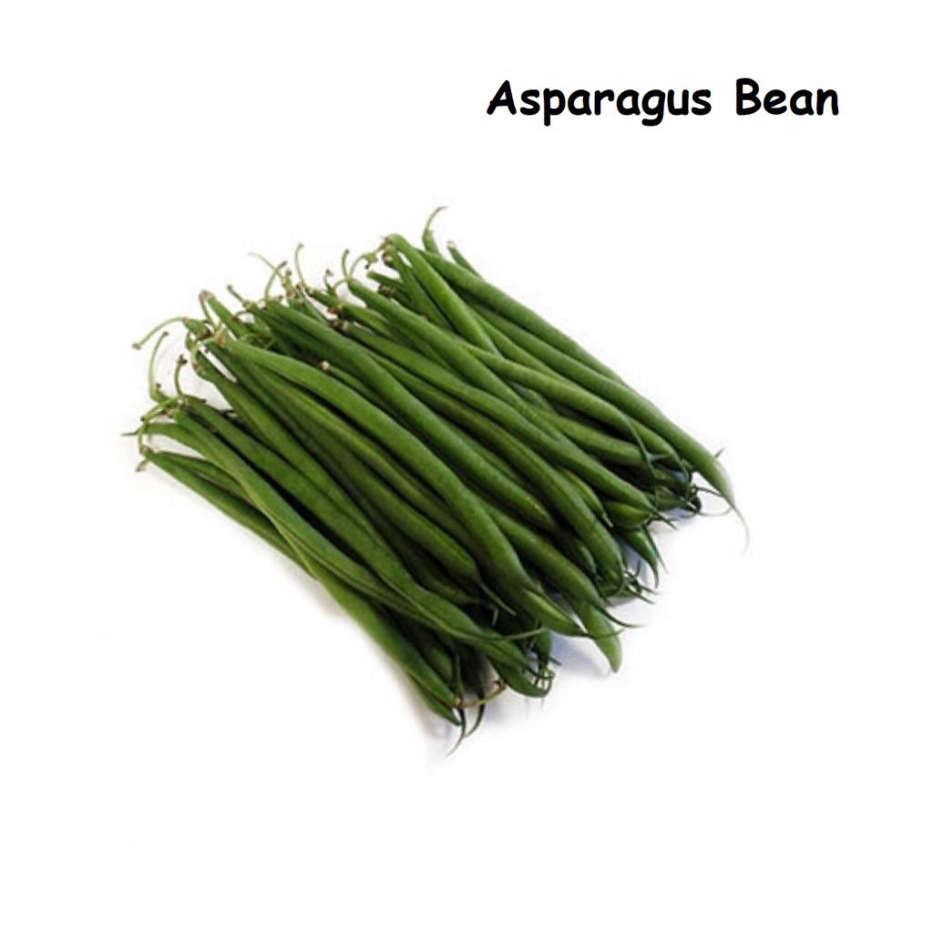 Asparagus bean 芦笋豆