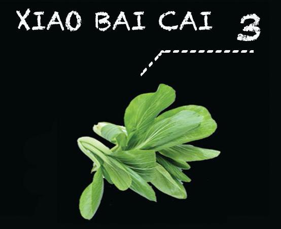Xiao Bai Cai_0
