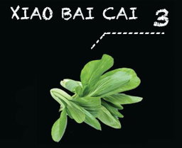 Xiao Bai Cai