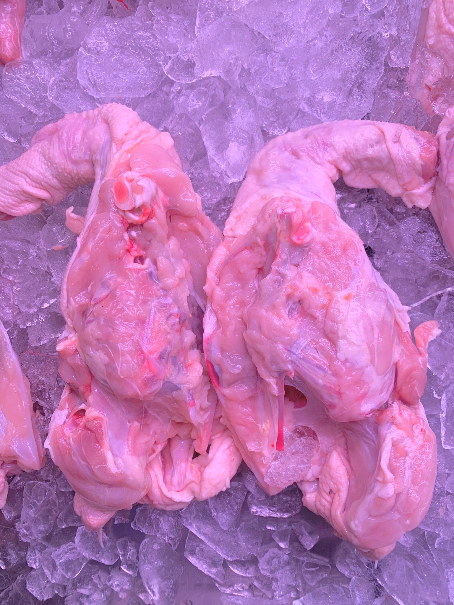 Fresh Kampung Chicken Bones 甘榜鸡骨_2