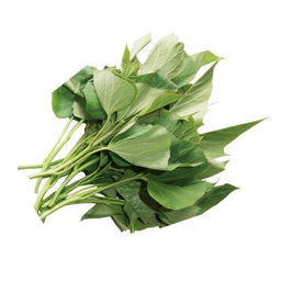 Sweet potato sprouts（番薯叶苗）