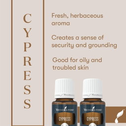 Cypress 15ml (SALE)