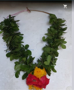 Vilvam garland 
