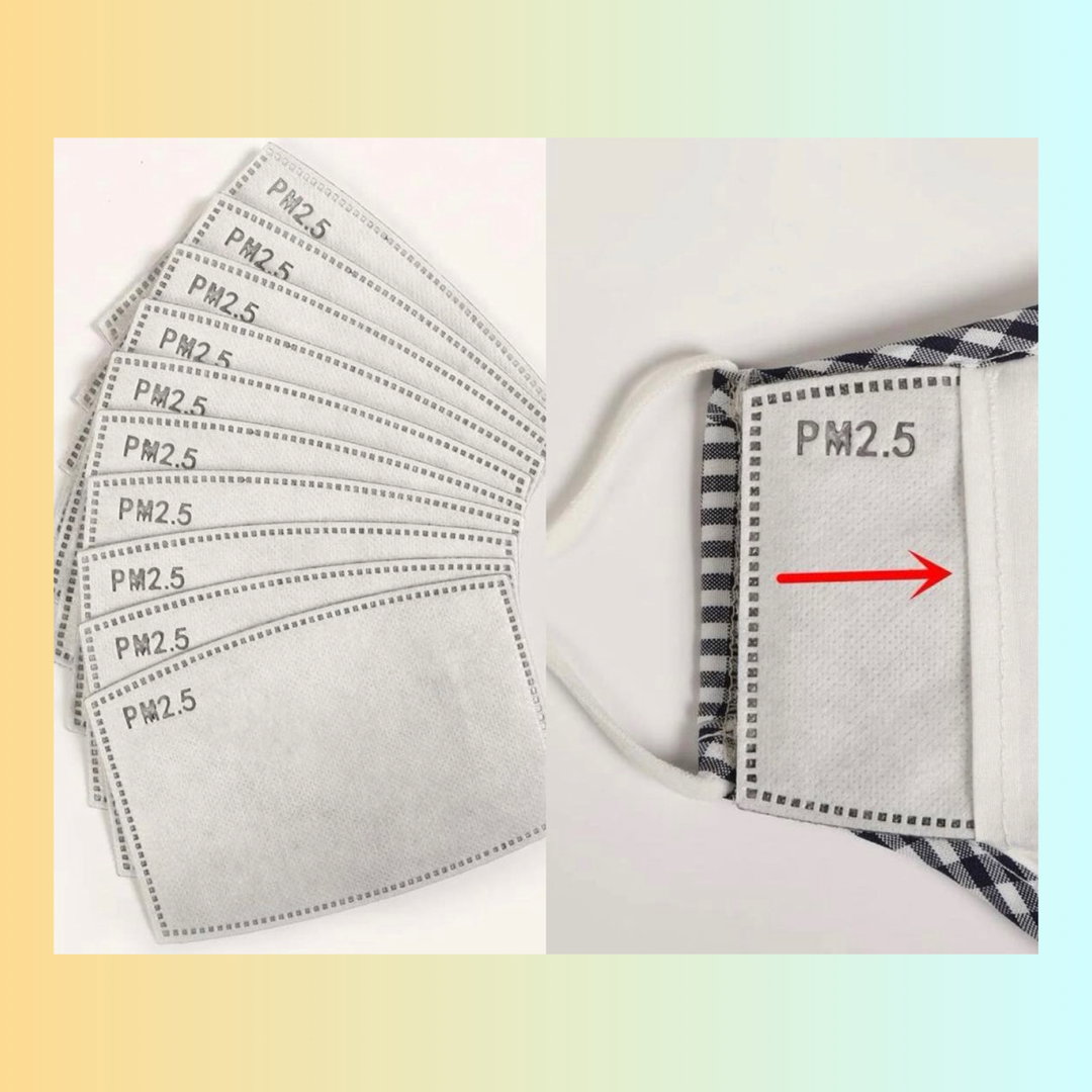 Face Mask Filter [10 pcs]