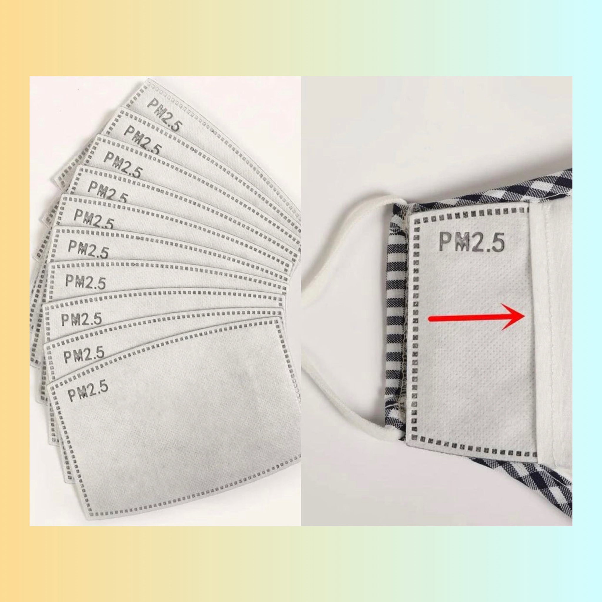 Face Mask Filter [10 pcs]_0