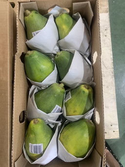 PHILIPPINES DOLE PAPAYA XL