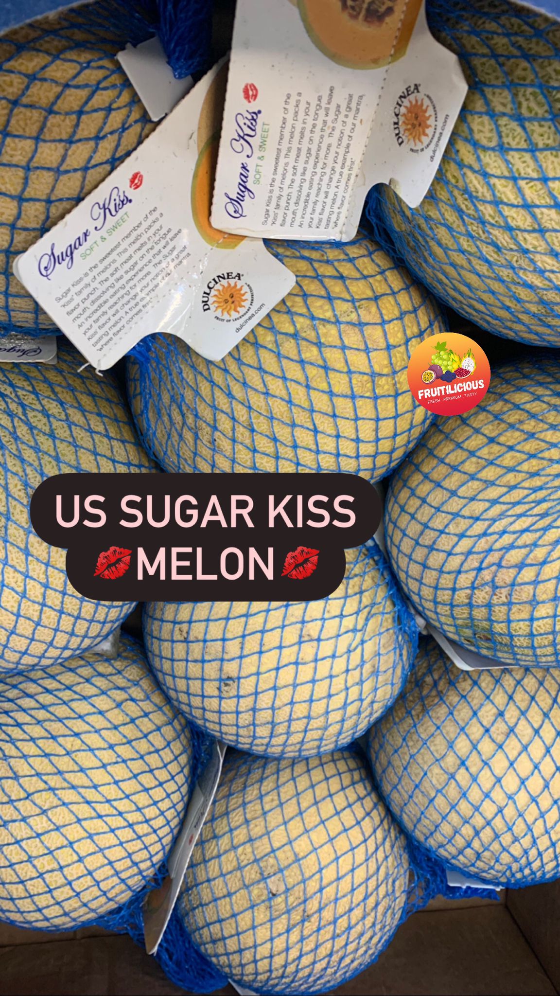 US SUGAR KISS MELON (M)_1