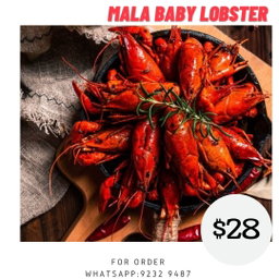 Mala Baby Lobster (麻辣小龙虾)