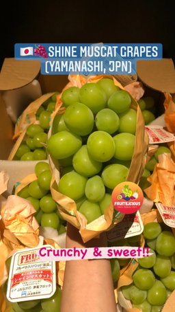 JAPAN NAGANO SHINE MUSCAT GREEN SL GRAPES