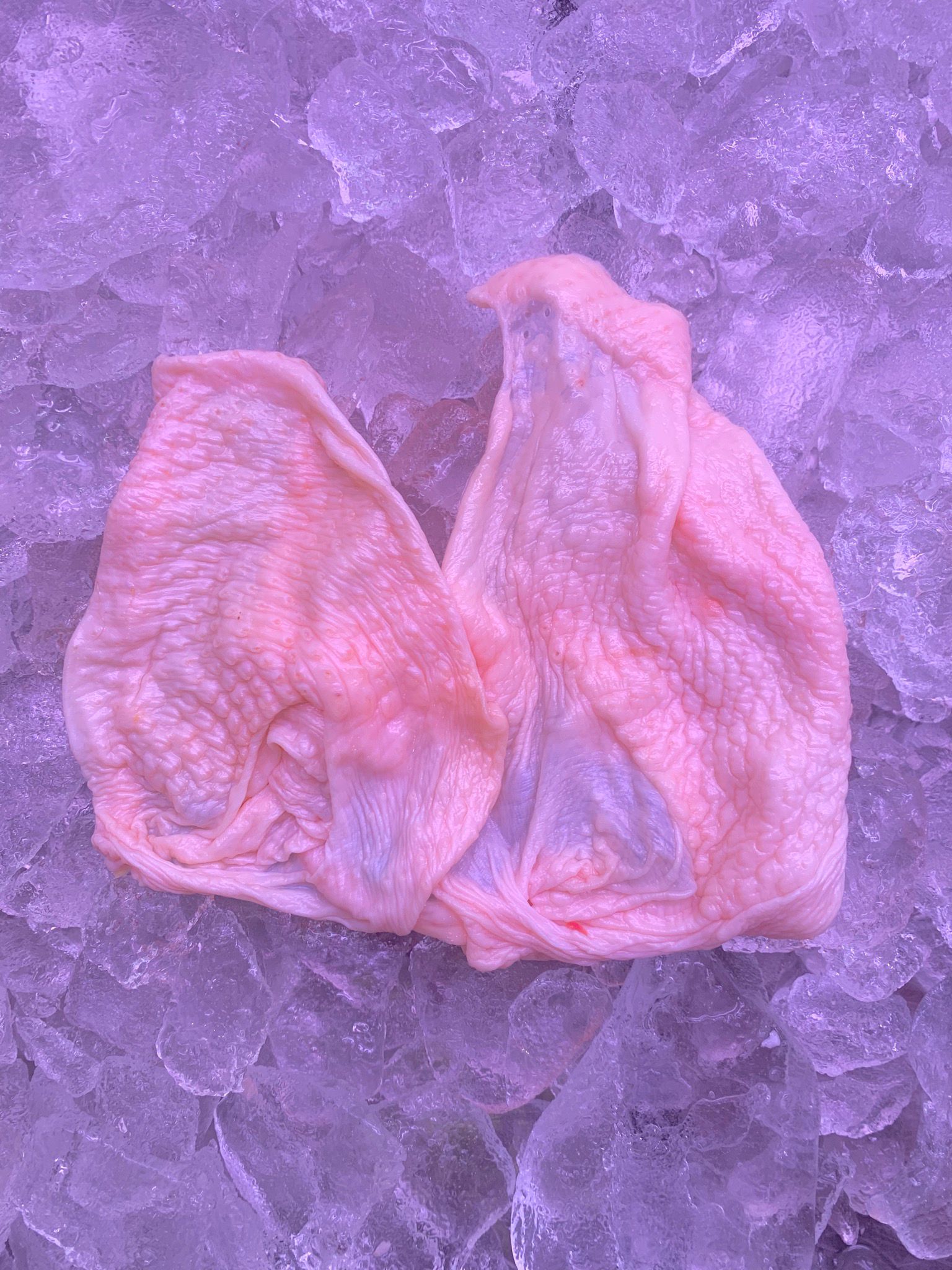 Chicken Skin 鸡皮_1