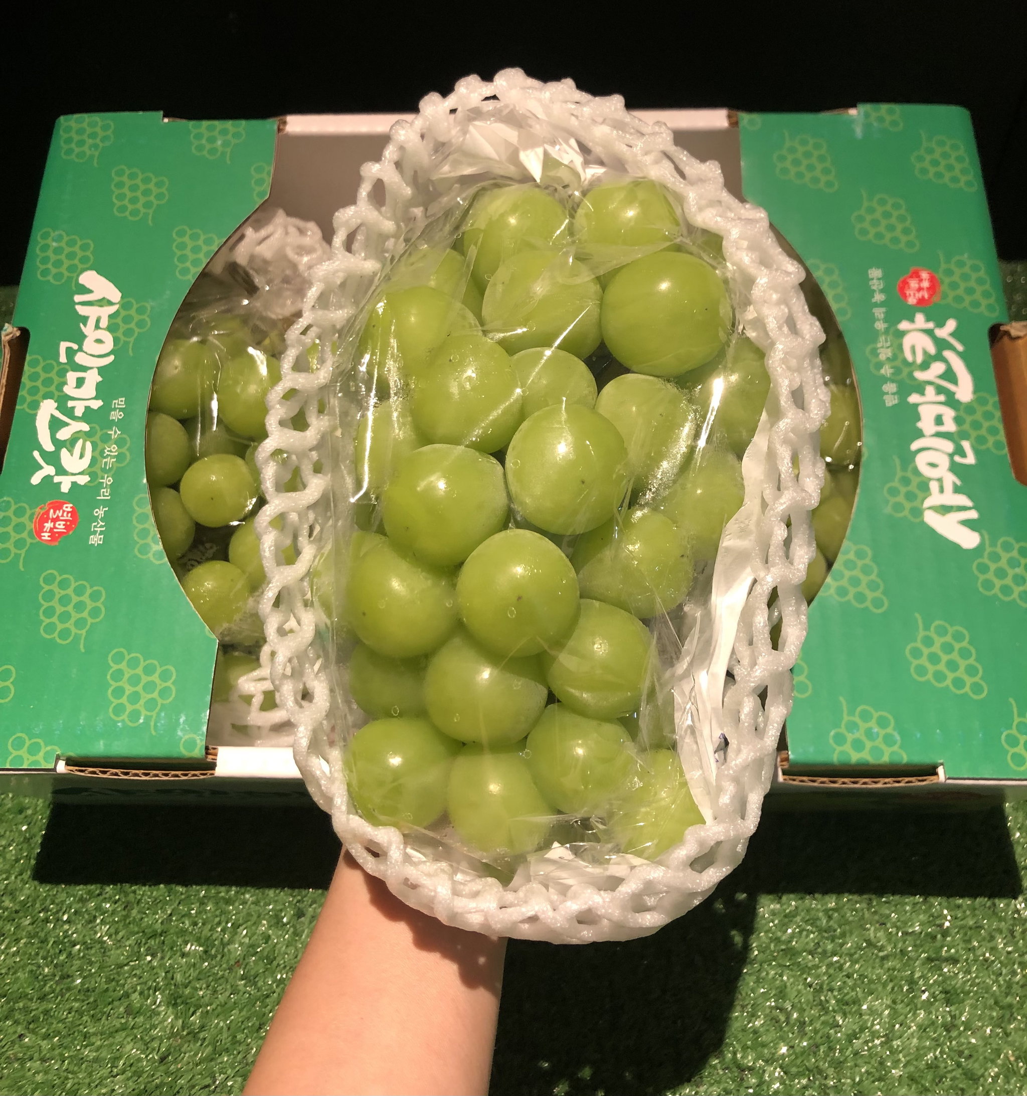 KOREA PREMIUM SHINE MUSCAT GRAPES_1