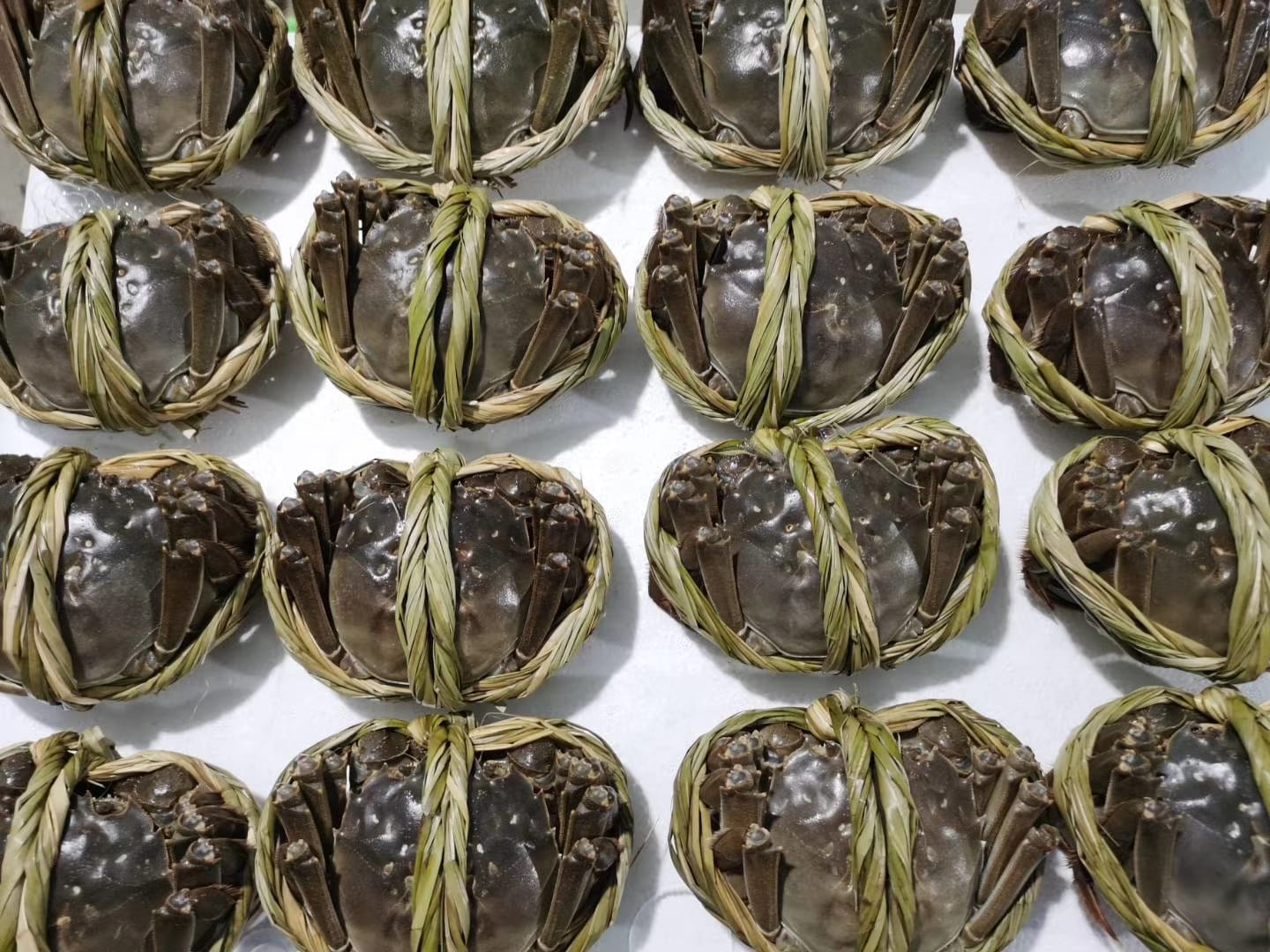 H300M - 300gms Male Hairy Crab_1