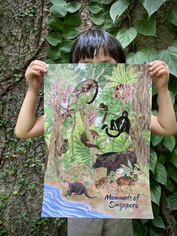 Mammals Series
