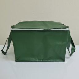 Cooler bag