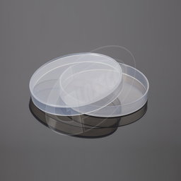 Laboratory Dishes