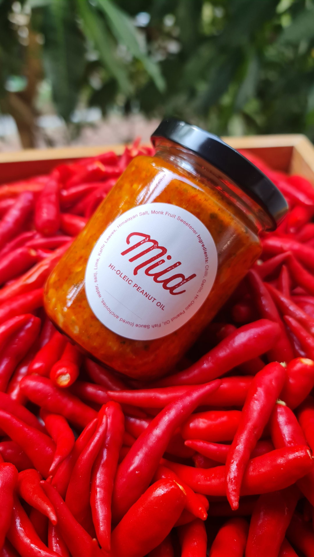 Mild Chilli in Australian Hi-Oleic Peanut Oil