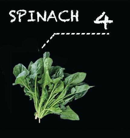 Spinach_0