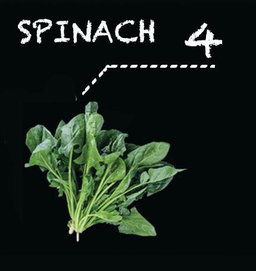 Spinach