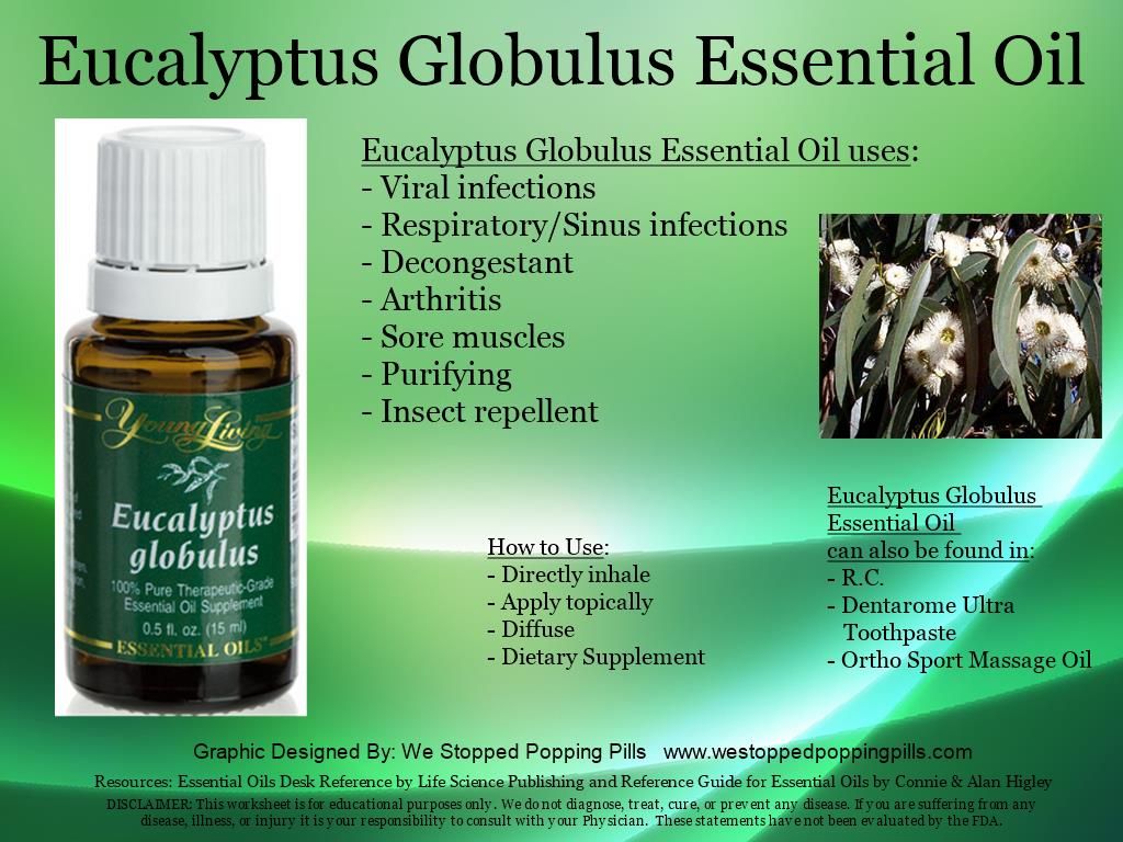 Eucalyptus Globulus 15ml_0