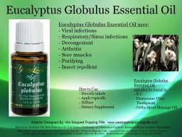 Eucalyptus Globulus 15ml