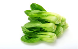 Chinese Cabbage （小白菜）