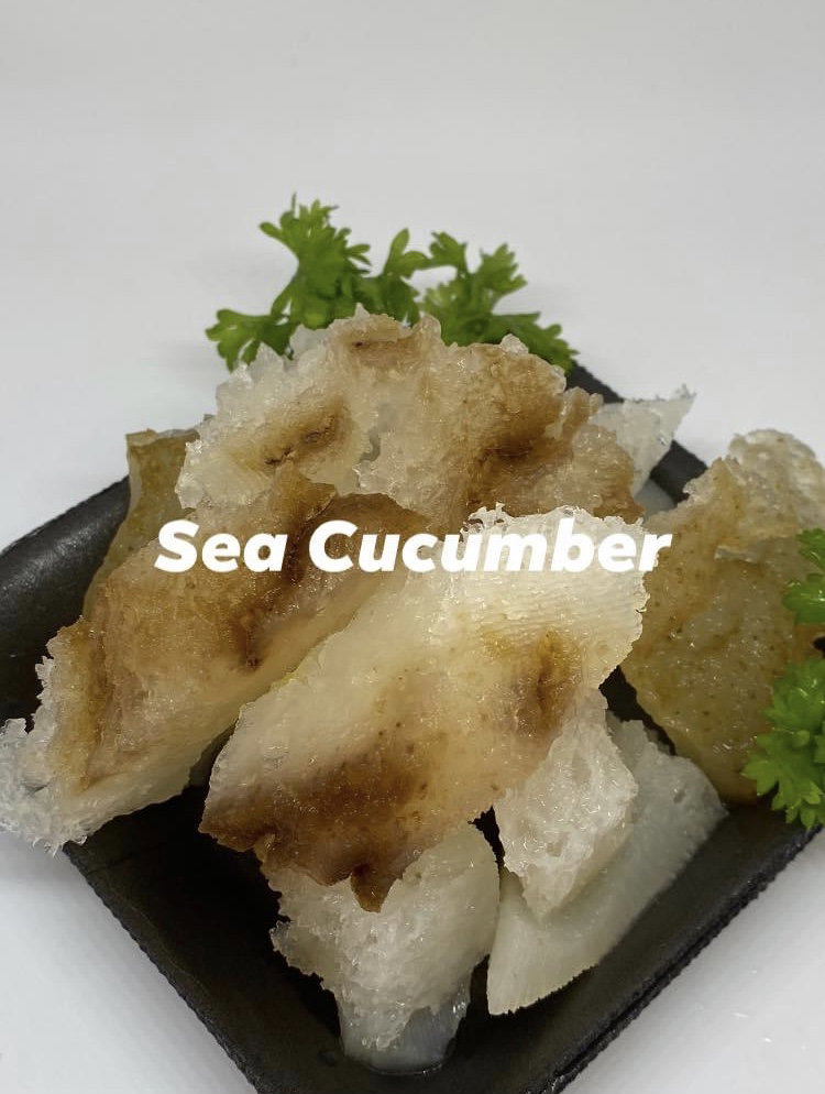 Sea Cucumber 