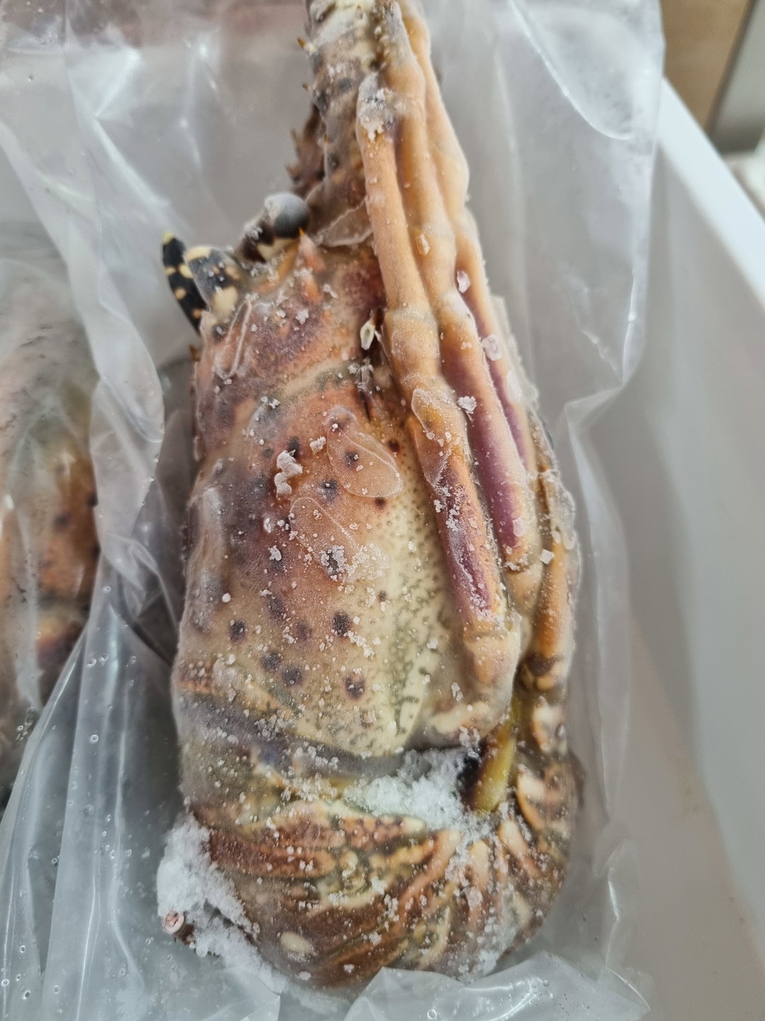 USA IQF Rock Lobster (raw)