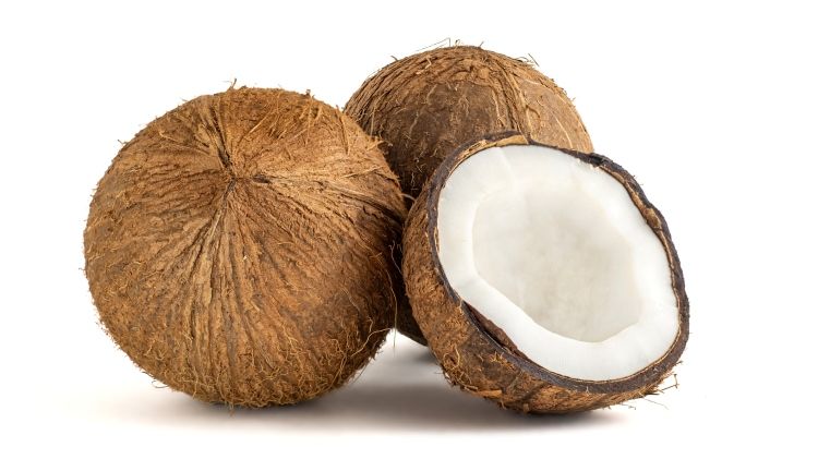 Coconut _0