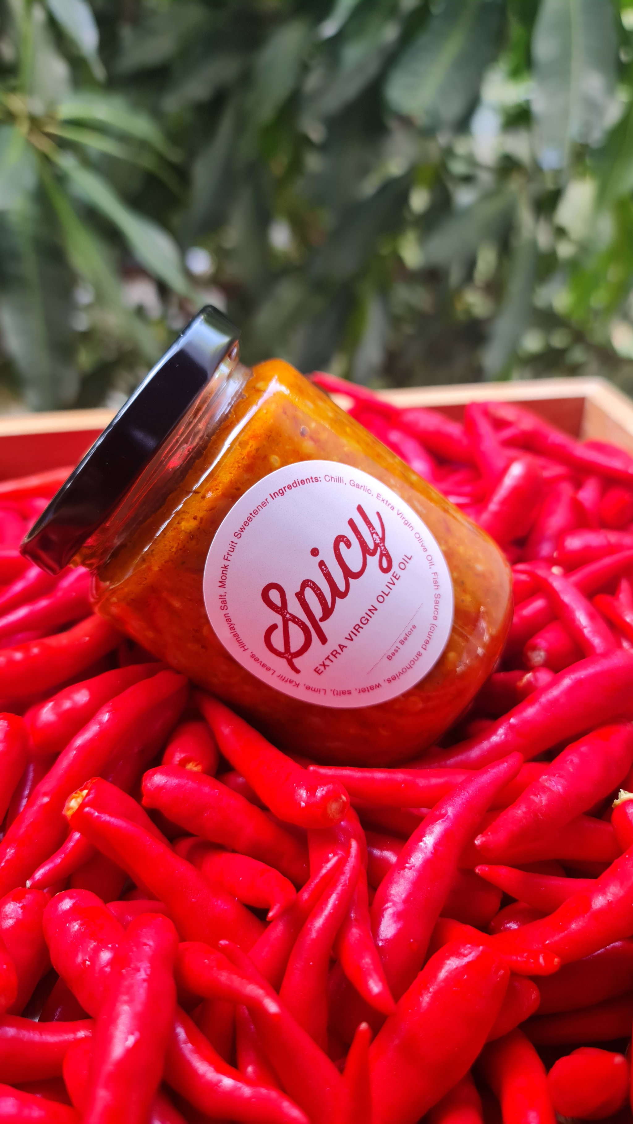 Spicy Chilli in Extra Virgin Olive Oil_0