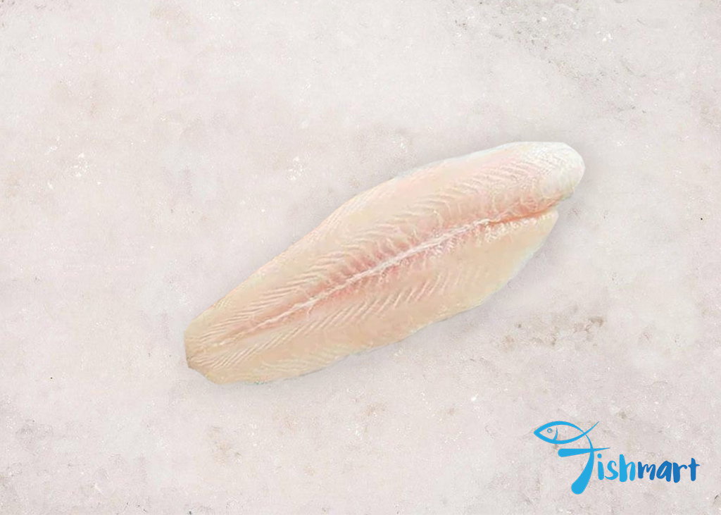 Dory Fish