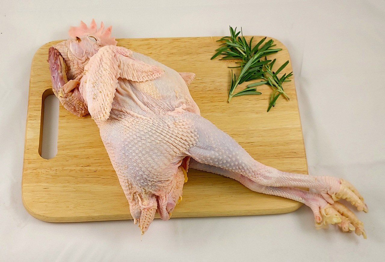 Fresh Chicken Fowl 老母鸡_0
