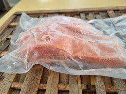 Salmon Fillet (Chile)