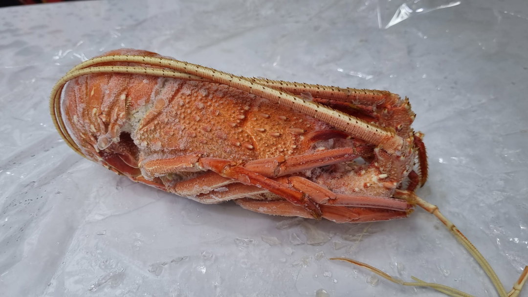 Australian Rock Lobster 700gms