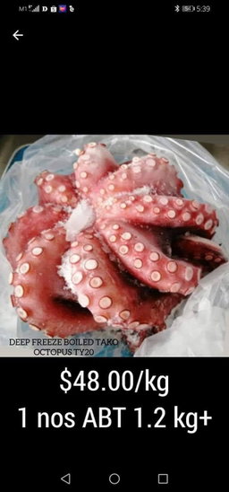 Whole sushi octopus