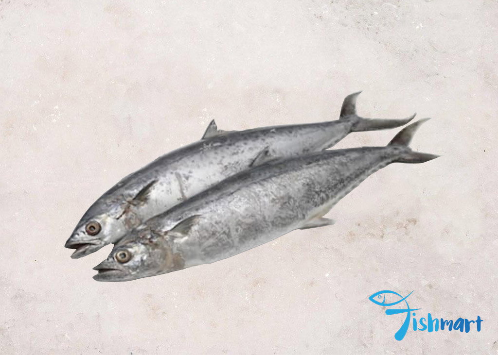 1kg Tenggiri Fillet 马交鱼_0