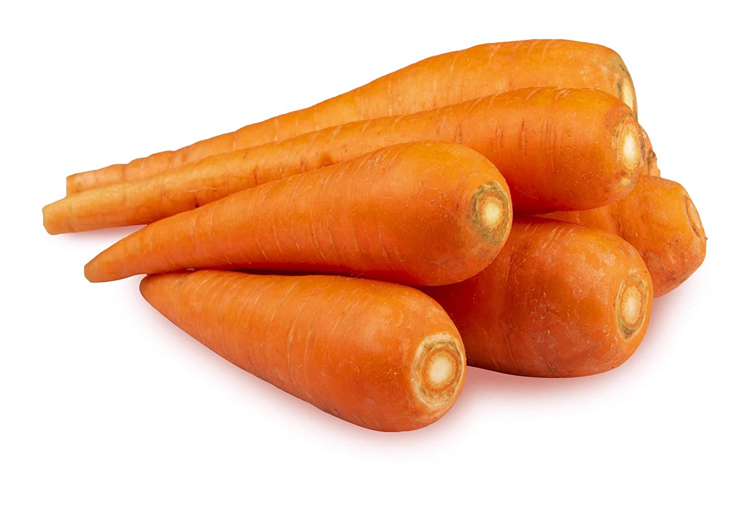 Carrot _0