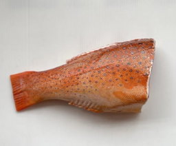  Red Grouper Tail (~500G) 红石斑