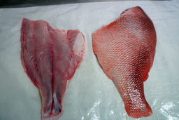 Emperor Red Snapper Tail (~500G) 红狮