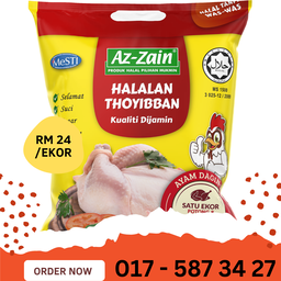 AYAM AZ ZAIN